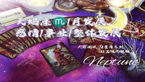 黑猫Tarot,天蝎座1月发展