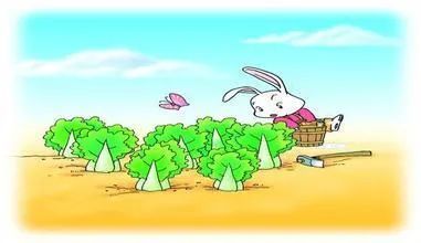 关于兔子种菜的小故事