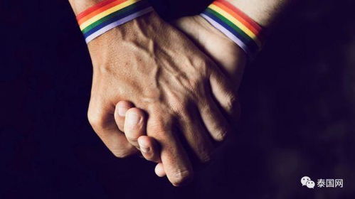 泰国同性婚姻合法化草案通过(哪些国家允许同性恋结婚)