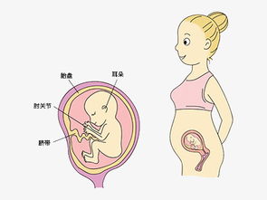 怀孕怎么知道孩子是谁的,怎麼測出孩子是谁的
