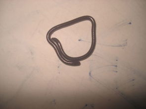 今天在家发现一条小蛇,黑色的比一般的蚯蚓细小长约8 10cm,有图求专家辨别是什么蛇 QQ 38287320 