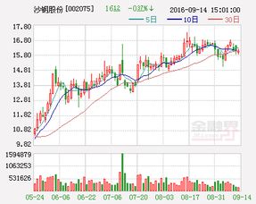 四川金顶（集团）股份有限公司的公司简介