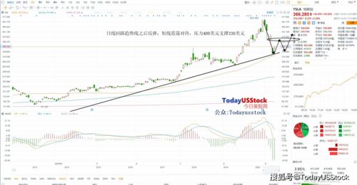 博汇股份TRIX金叉后，5日持有或大幅上涨可能性高，值得技术面关注