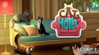 猫舍 CatHotel精彩截图欣赏