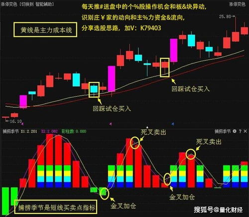 游资为主力的股票，在拉升时候，如果有很多大资金散户高手跟庄，那主力还拉升吗？