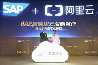 寻求SAP项目顾问及怎么招募SAP项目顾问ERP