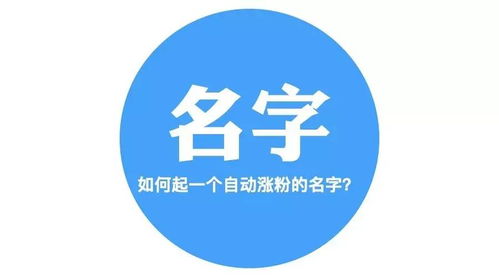 如何起一个自动涨粉的公众号名字 万字长文详解好名字的20个类型 100个例子,5个步骤 内训教材