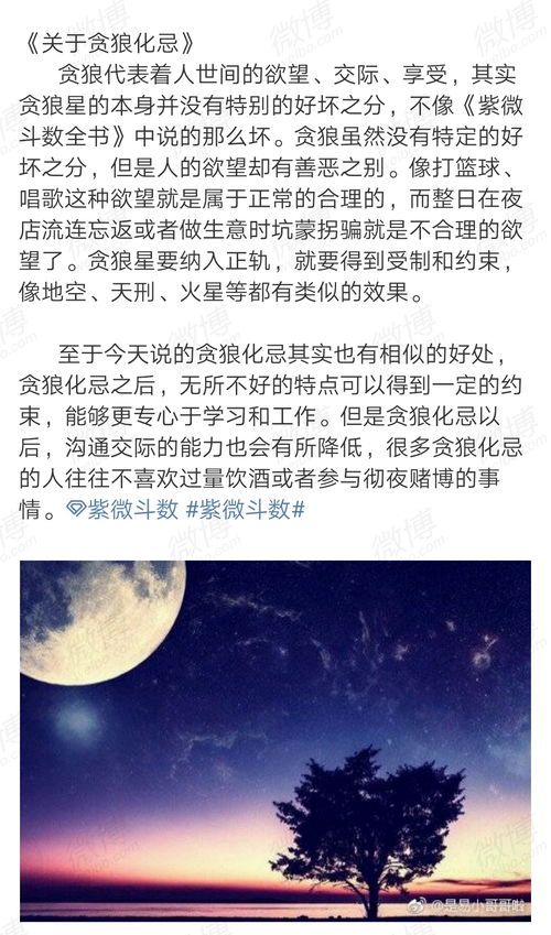 关于贪狼星化忌的基本看法 