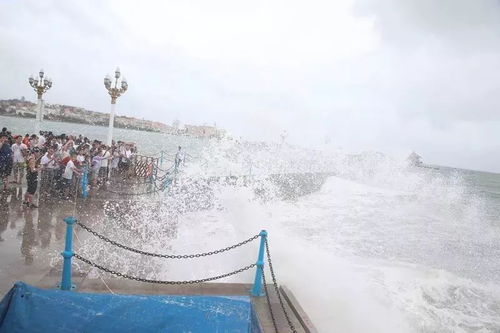 八大海水浴场全部关闭 跑偏的台风 摩羯 威力依旧巨大