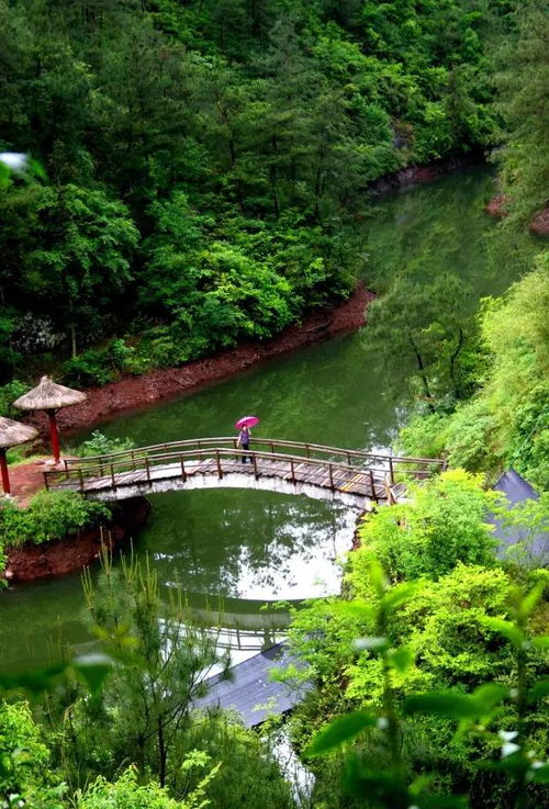 浙江台州浙江仙居景区