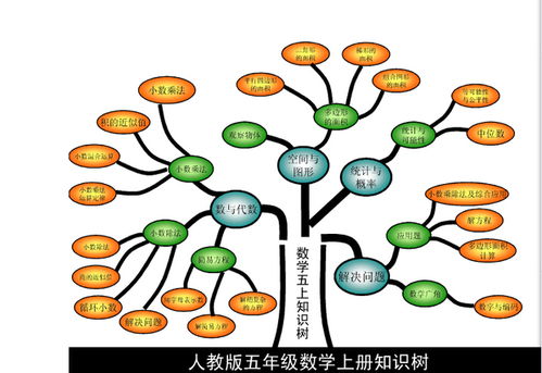 五年级上册的知识树怎么画