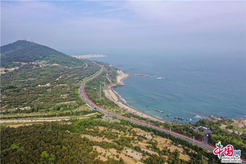 青岛金沙滩哪个停车场最好(青岛海岸路附近停车场免费)