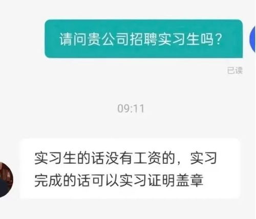 实习生,比 社畜 还低两级