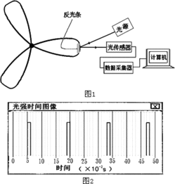 通过量叶片的长度和宽度比较叶片大小对吗