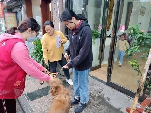 泰州海陵 多举措营造文明养犬新风尚