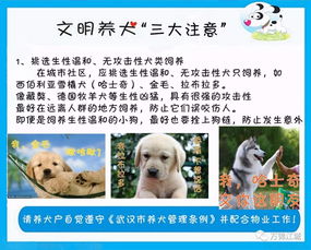 你有养犬的权利,我有不被干扰的权利 