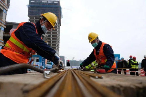 南通市建筑业职业技能竞赛暨启东市第二届 陶桂林杯 建筑职工技能比武竞赛在启成功举办