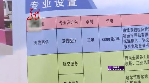 学校招生专业 竟然不在业务范围 