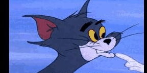 童年动画中的动物原型,汤姆猫原来是这种猫,比动画里可爱多了
