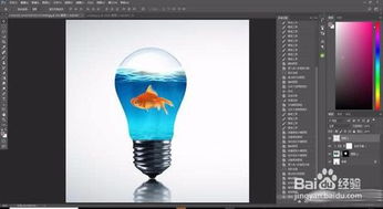 Photoshop合成一张灯泡里的金鱼特效图