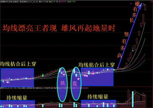 炒股一招鲜视频讲解中使用的软件是什么软件