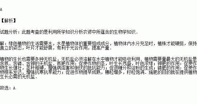 从植物生理学角度分析农谚“有收无收在于水”的道理？