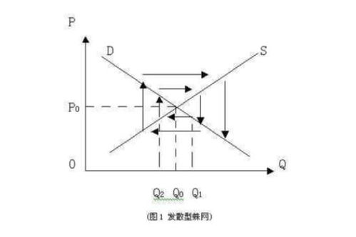 蛛网模型理论分析