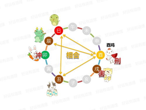 八月初五 鸡日冲兔 财位西北西南东南