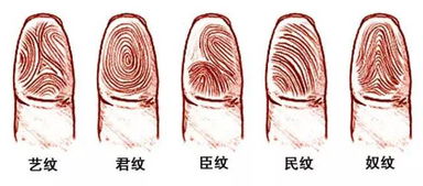 你是不是富贵命 潮汕民间算命,准不准看了便知