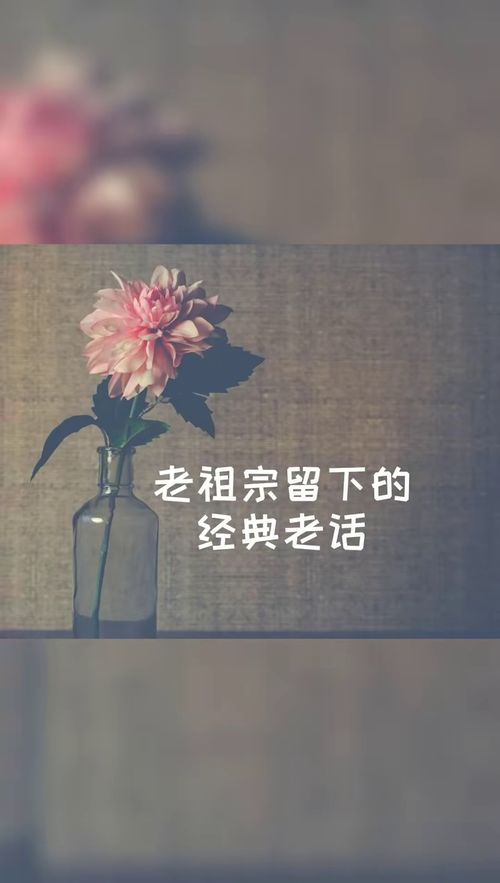 名言做壁纸—怎么在手机桌面上留下一句话？