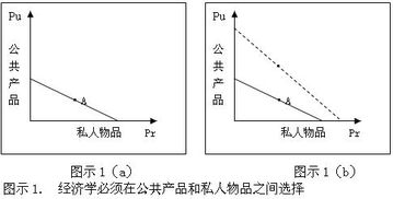 经济学中opportunity cost的定义是什么？