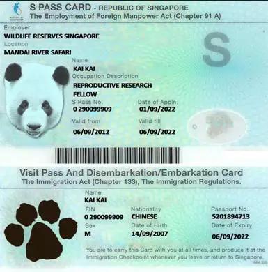 2016新加坡签证全攻略 