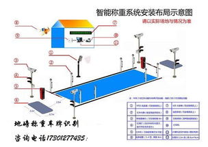 人为什么蹲下称重量比站着称要重