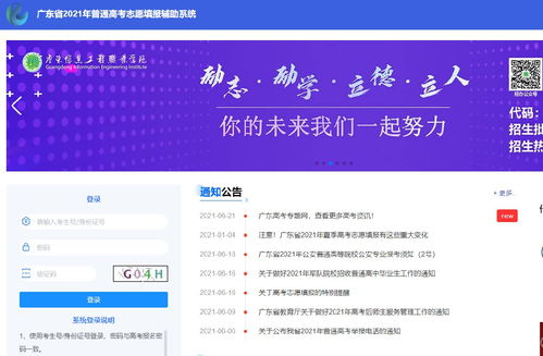 广东志愿填报官方网站(广东志愿填报官方网站登录)