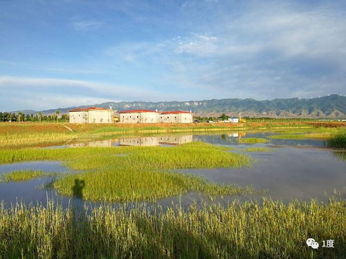 塞上青钟湖光美 