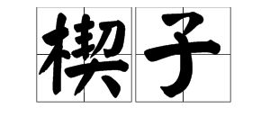 “楔子”的意思如何、楔子的读音怎么读、楔子的拼音是什么、怎么解释？