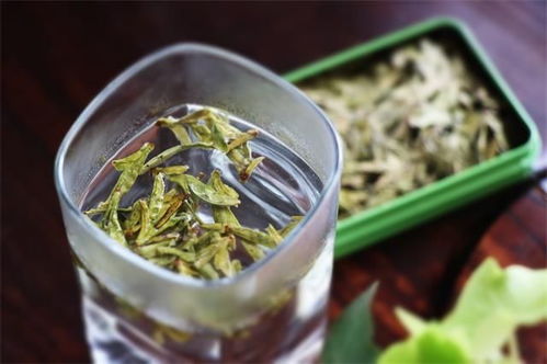 夏天下午喝什么茶最好