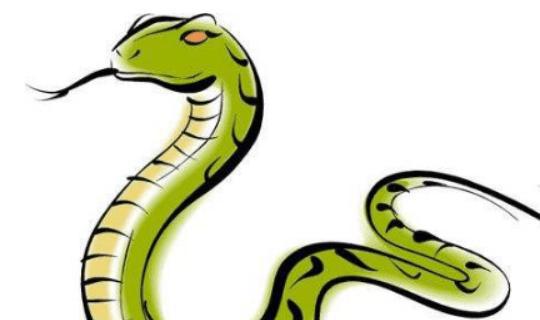 十蛇九不全 揭秘65年生肖蛇的毕生寿命,过了55岁后什么命