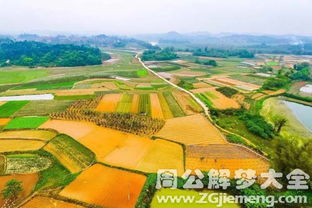 梦见地带是什么意思 梦到地带好不好 大鱼解梦网 