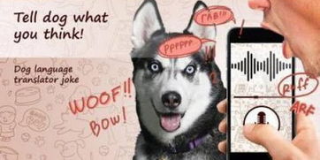 人狗沟通交流的软件 人与狗沟通软件下载 好用的人狗沟通软件 9553下载 