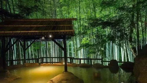 发展特色温泉之路 带你探究日本温泉运营的经验与教训