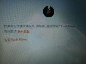 win10开说我没安装flash