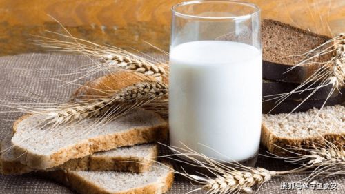 牛奶是完美的补钙食物，可有人喝多了会便秘，牛奶会导致上火吗