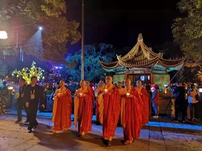 今晚,普陀山 又将是祈福的海洋 千朵 莲花 盛开 太美了