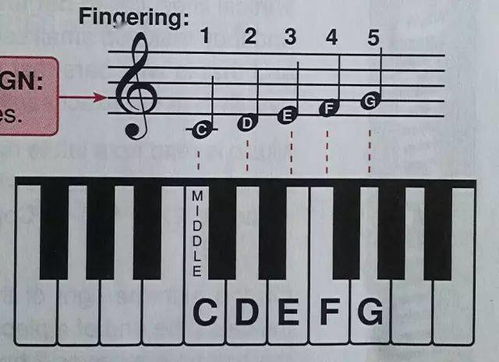 这可能是史上最全的钢琴学习入门知识...