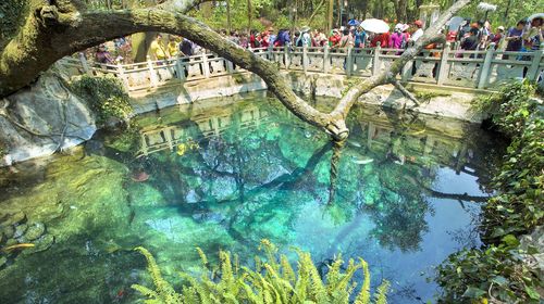 大理洱海游船 崇圣寺三塔文化旅游区 蝴蝶泉一日游