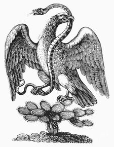 鹰徽与鹰洋丨你确定纹章和钱币上的大鸟是鹰吗 