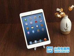 长治2498元购iPad Mini免费拿外壳贴膜 