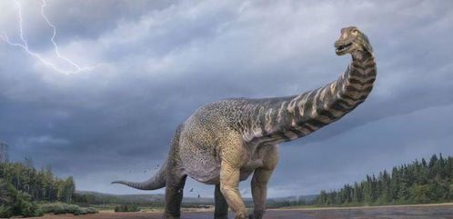 澳大利亚发现一种新恐龙 有两层楼高,身长堪比篮球场 