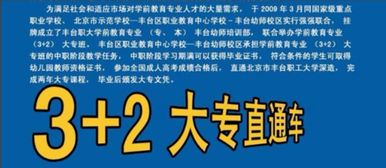 海军里人人都会学具体的专业知识吗(海军能学到什么技术)